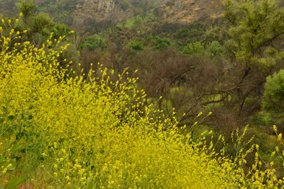 DSC_6262 (Large).JPG